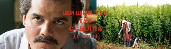 шишки Алексеевка
