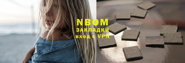 прущие грибы Алзамай
