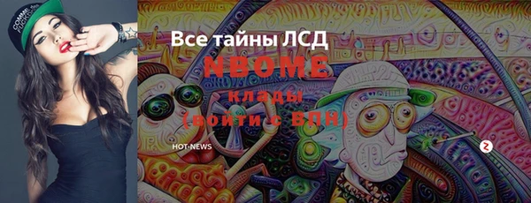 прущие грибы Алзамай