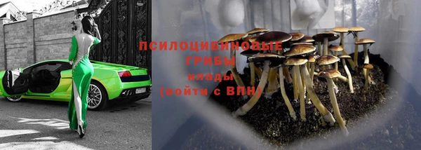 шишки Алексеевка