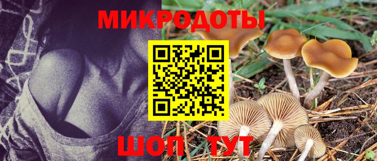 Борзя  Псилоцибиновые грибы Psilocybine cubensis  Вход с VPN  как найти наркотики  Галлюциногенные грибы Psilocybine cubensis 