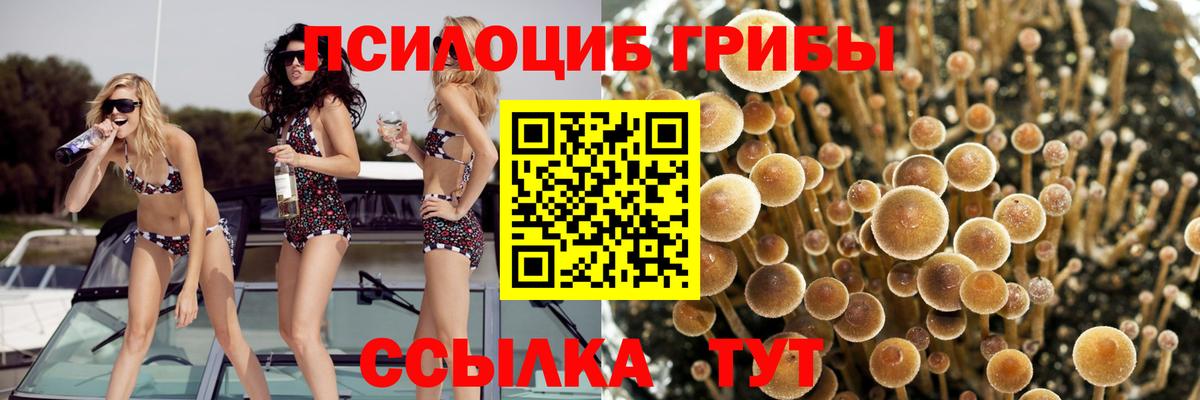 Галлюциногенные грибы Magic Shrooms Борзя