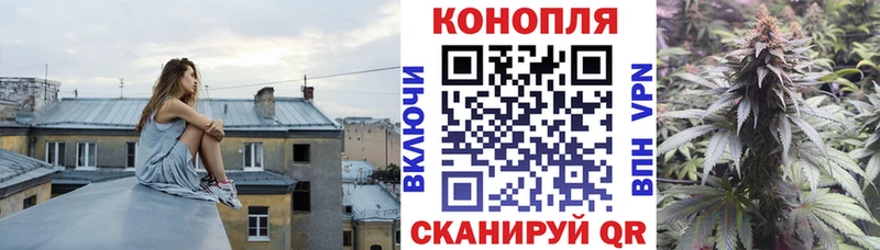 Каннабис планчик  кракен сайт  Борзя 